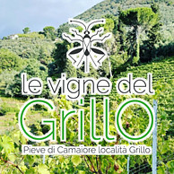 LE VIGNE DEL GRILLO